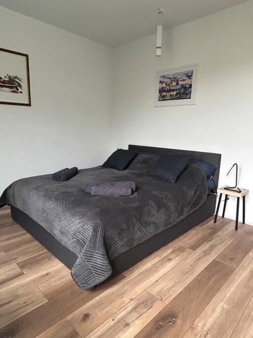 Apartament Stary شتشيتسين المظهر الخارجي الصورة