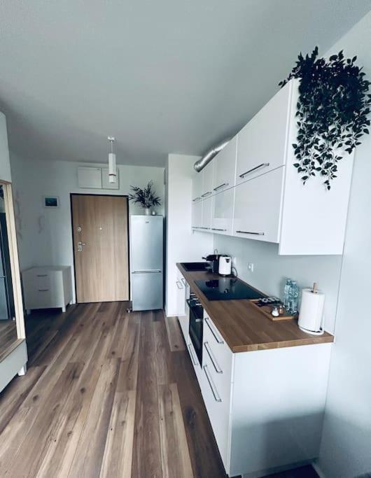 Apartament Stary شتشيتسين المظهر الخارجي الصورة