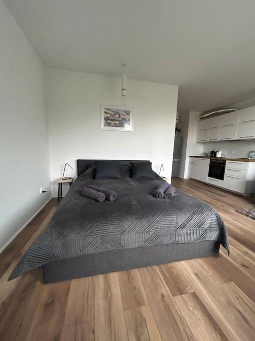 Apartament Stary شتشيتسين المظهر الخارجي الصورة