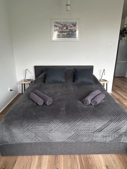Apartament Stary شتشيتسين المظهر الخارجي الصورة